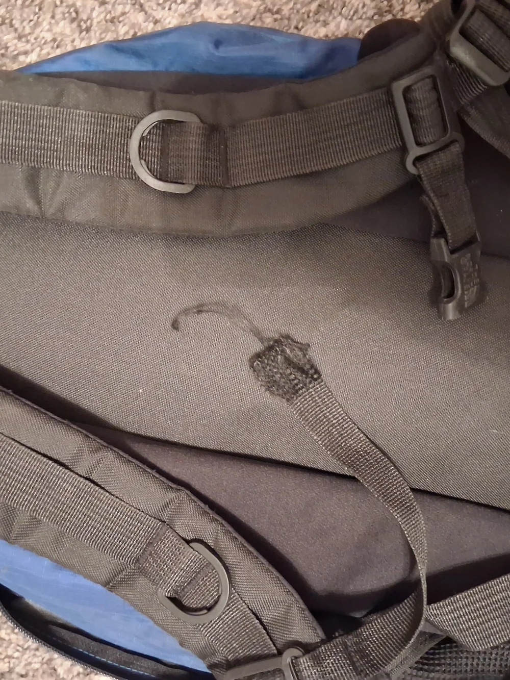 The North Face Blue and Black Men’s Backpack
